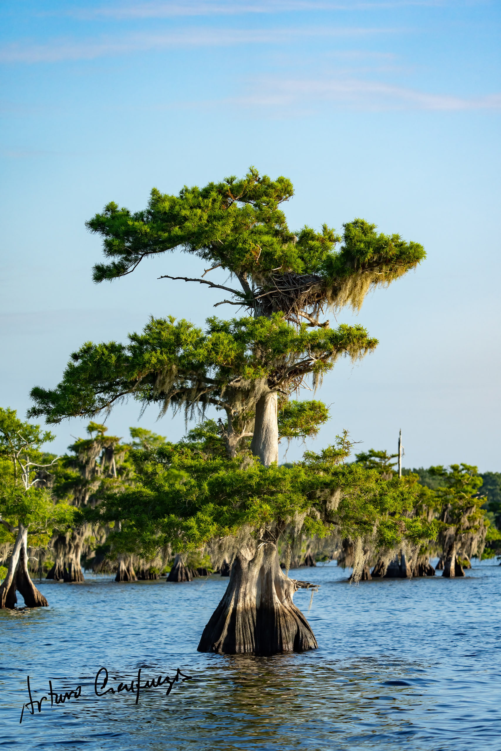 Vero Beach wildlife photography_7139
